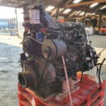 DAF WS 242 M