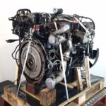 MAN D0834 LFL67 EUR6 Engine (Truck)